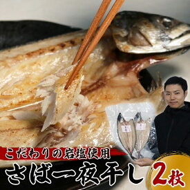 【ふるさと納税】丹水こだわり 干物セット (さば一夜干し2枚) 海産物 魚介 海の幸 さばの干物 鯖の干物 おつまみ 一夜干し 独自製法 岩塩 ふるさと納税 さば