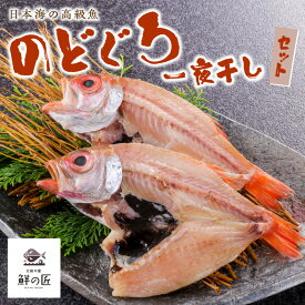 【ふるさと納税】【北畿水産 鮮の匠】のどぐろ一夜干し4匹セット 魚介類 魚介 魚 のどぐろ 一夜干し 干物 干し物 セット 詰め合わせ 美味しい 高級魚