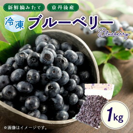 【ふるさと納税】高評価★4.5 高レビュー★ 美味しさそのまま摘みたてをハイブリッド冷凍 京丹後産冷凍ブルーベリー1kg/北畿水産 果物 フルーツ スイーツ ぶるーべりー ふるさと納税 フルーツ ふるさと納税 果物 生産者応援 農家応援 送料無料 国産