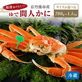 【ふるさと納税】かに卸問屋がお届け・自社釜ゆで！幻のゆで間人ガニ 700g～ 中大サイズ～（11月発送～）／北畿水産 選べる サイズ 選べる 配送時期 カニ 蟹 松葉かに 間人ガニ ふるさと納税 かに