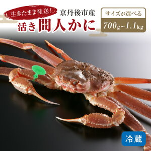 yӂ邳Ɣ[Łzɉ≮͂El茵II̊ԐlKj 700g` TCY`i11`j^kEY Iׂz VN  ĂKj Jjh Ԃ I 