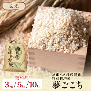 yӂ邳Ɣ[Łz2025NY sEOR ʍ͔|Ė 3kg 5kg 10kg yāz