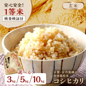 yӂ邳Ɣ[Łzc킸^]EĔ_ƒ^ā@3kg`]5.0 r[ ^2025NY sEO R ʍ͔|ăRVqJ 3kg 5kg 10kgyāz 1 Ϗؕt 