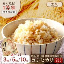 楽天市場】丹後 米の通販 