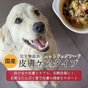 yӂ邳Ɣ[Łz[EFbghbOt[h] 畆PA^Cv (5pbN)  p    Y ˓ R[Q ybg ybgt[h hbNt[h ύ 畆PA 畆̂