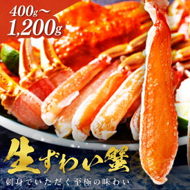 【ふるさと納税】選べる発送月・12月発送/鮮度抜群！お刺身でも食べられる！カット生ズワイガニ 2肩 3肩 4肩 6肩 選べる 内容量 発送月 カニ 蟹 ずわい蟹 ポーション 評判 人気 カニ刺身 生食 ズワイガニ ふるさと納税 かに 12月 ふるさと納税 ズワイガニ