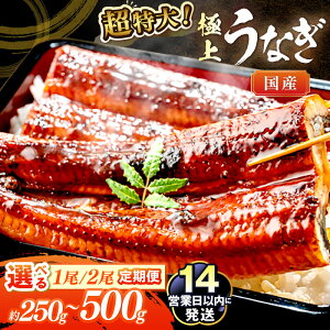 yӂ邳Ɣ[ŁzEYy14cƓȓz]5.0 ɏIYȂ 250g`1500g 1 2  3  u Iׂ e ͂ ӂ邳Ɣ[ V BY Y EiM 