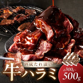 【ふるさと納税】たれ漬けハラミ 1パック 100g 3袋 5袋