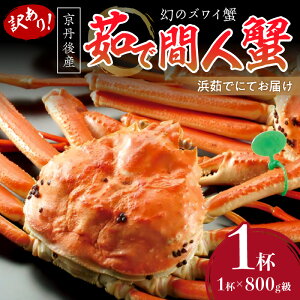 yӂ邳Ɣ[Łzy󂠂IĨYCIzOY 䥂ŊԐlI NxQAl䥂łɂĂ͂II 800gi1{j×1t Y CY bk  킢 ԐlI 䥂 {C ӂ