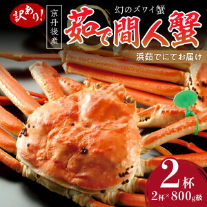 yӂ邳Ɣ[Łzy󂠂IĨYCIzOY 䥂ŊԐlI NxQAl䥂łɂĂ͂II 800gi1{j×2t Y CY bk  킢 ԐlI 䥂 {C ӂ