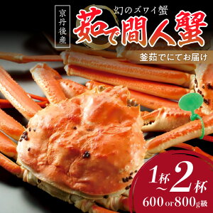 yӂ邳Ɣ[Łz]5.0 r[ỹYCIzOY 䥂ŊԐlI NxQA䥂łɂĂ͂II 600g 800g 1t 2t Iׂ e  Y bk  킢 Ԑl