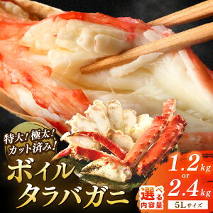 yӂ邳Ɣ[Łz5LTCY^Iׂ^oYCHהׁIɑIJbgς {C^oKj5LTCY 1.2kg 2.4kg YCKj 2 Zbg Iׂ e z I ^oKj 