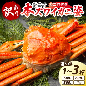 【ふるさと納税】【大好評！カニ酢付き】訳あり！釜茹で！本ずわいがに姿 500g 600g 800g 1kg 1杯 2杯 3杯 選べる 数量 容量 魚介 海鮮 海の幸 釜茹で ボイル ふるさと納税 カニ 訳あり ふるさと納税 ズワイガニ