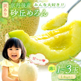 【ふるさと納税】味は抜群。訳ありメロン／みんな大好き甘～ぃ！京丹後砂丘めろん！ 1玉 2玉 3玉（2026年7月下旬～発送）選べる 内容量 国産 果物 メロン 砂丘メロン 甘い 糖度 京都 ふるさと納税 メロン ふるさと納税 先行予約 期間限定 ふるさと納税 フルーツ