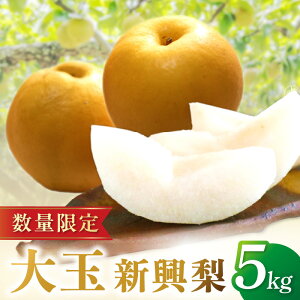 yӂ邳Ɣ[Łzys\^ʌ100zOYE V 5kgi6ʁ`10ʁji2025N10{甭j Y 6`10   ӂ邳 [  Ȃ iV 5kg s\ Ԍ t[c 