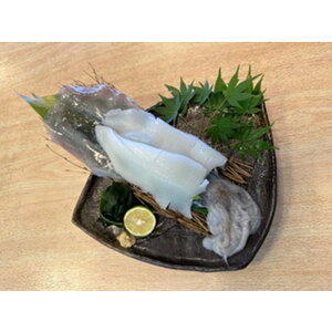 yӂ邳Ɣ[ŁzsEvlY AICJ̎p