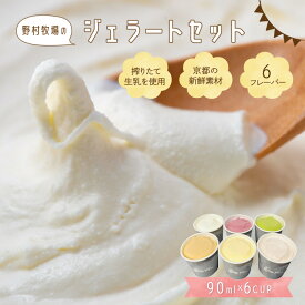 【ふるさと納税】野村牧場ジェラート6個セット 牧場直送 野村牧場 ジェラート アイス セット カップ バニラ 琴引の塩 いちご カフェラテ カシス 抹茶 デザート 氷菓子 ふるさと納税 スイーツ 搾りたて 牛乳 ミルク 搾りたてミルク 濃厚 ギフト プレゼント お祝い 送料無料