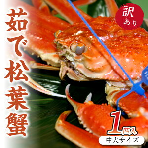 yӂ邳Ɣ[Łz]5.0 r[ {CY@uhI@䥂ŏtIy󂠂z1C 2C TCY TCY TCY YCKj tKj Y Jj Kj  tKj {C