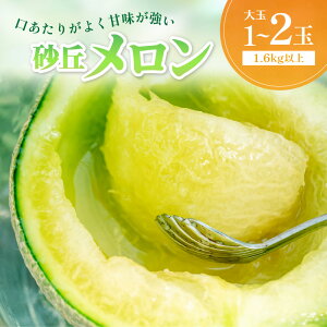 【ふるさと納税】2026夏発送/大玉2L以上【先行予約】京丹後産 砂丘メロン 大玉2L以上 1玉 2玉(2026年7月下旬〜発送) 選べる 国産 高級メロン めろん 贈答 贈答品 贈り物 ふるさと納税 メロン