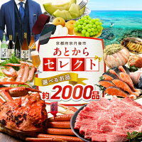 時間がない訳ありさんに駆け込み寄附も安心。今年寄附して2年間の間に欲しいも...