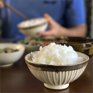 yӂ邳Ɣ[Łz2025NY sEhY RVqJ 5kgi͔|Ԓ_Ew엿sgpj  RVqJ   5kg OY sY nYt@[ ӂ邳Ɣ[  Ђ 