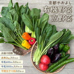 yӂ邳Ɣ[ŁzL@؁E؂́ws₨悵x̂؋lߍ킹  +2kg +ʎq10 +200ml +900ml ʏ(1) 4 6 12