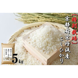 【ふるさと納税】特別栽培 京都府京丹後市産こしひかり 岡田さんが美味しく育てた京丹後米5kg 選べる 回数 定期便 1回 2回 3回 米 お米 特別栽培 国産 ご飯 定期 京都 京丹後 ふるさと納税 米 生産者応援 農家応援 送料無料
