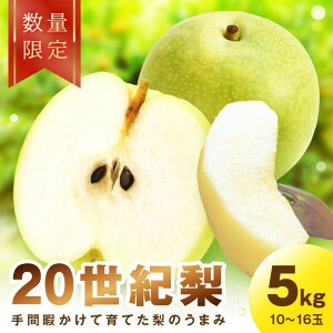 yӂ邳Ɣ[Łz2026NH^]5.0 r[ys\^ʌ100zI@5kgi2026N9{`jt[c  Y  \I 20I I ӂ邳 [  