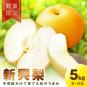yӂ邳Ɣ[Łzyc킸zys\^ʌ100zV@5kgi2025N10{`jt[c  Y  V ӂ邳 [ s\ Ԍ ʌ ӂ邳Ɣ[ t