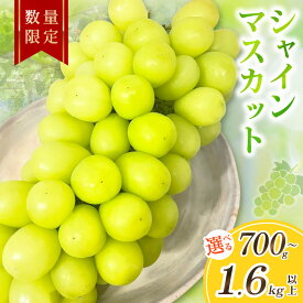 【ふるさと納税】2026年秋発送／先行予約 シャインマスカット 700g以上 1.2kg以上 1.6kg以上 1房 2房 3房（2026年9月上旬～発送） 選べる 内容量 フルーツ デザート 果物 旬 ぶどう マスカット ふるさと納税 果物 ふるさと納税 シャインマスカット