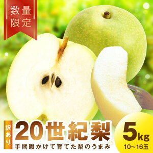 yӂ邳Ɣ[Łzys\^ʌ100z󂠂 I 5kgi2026N9{`j t[c  Y  \I 20I I ӂ邳 [  ӂ邳Ɣ[ t[c ӂ邳