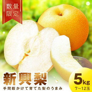 yӂ邳Ɣ[Łz2026Hys\^ʌ100zV@5kgi2026N10{`jt[c  Y  V ӂ邳 [  2026N s\ Ԍ ʌ ӂ邳Ɣ[ 