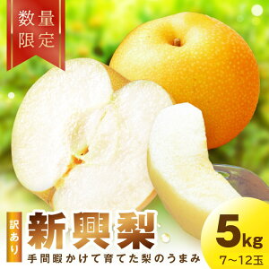 yӂ邳Ɣ[Łz2026Hys\^ʌ100z󂠂 V@5kgi2026N10{`j ӂ邳Ɣ[ 󂠂 t[c  Y  V 킯 L PA 2026N 