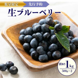 yӂ邳Ɣ[Łzys\^ʌ20zy󂠂zI u[x[500g×2i2026N7{`j  Ԃ[ׂ[ t[c ʕ AgVAj n Ԍ Y 킯 P