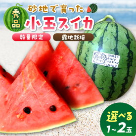 【ふるさと納税】高評価★4.5 高レビュー★【先行予約／数量限定200】にしまるスイカ 秀品（露地栽培）（2026年7月中旬から発送）1玉 2玉 選べる フルーツ 果物 数量限定 にしまる 小玉 甘い ジューシー 京都 ふるさと納税 すいか