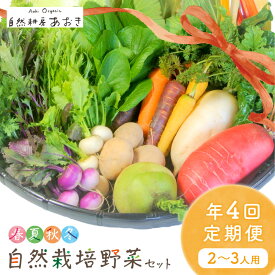 【ふるさと納税】濃い野菜【年4回定期便】春夏秋冬 自然栽培野菜セット (年4回) 2～3人用　ふるさと納税 野菜 自然栽培 季節 定期便 旬野菜 定期便 4回 旬野菜 詰め合わせ 百貨店 ホテル 栽培期間中 農薬 京都 産地直送 野菜セット おすすめ 美味しい