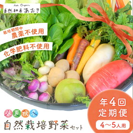 【ふるさと納税】【年4回定期便】春夏秋冬自然栽培野菜セット(年4回)4～5人用　ふるさと納税 野菜 自然栽培 季節 定期便 旬野菜