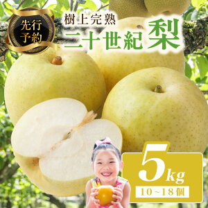 yӂ邳Ɣ[Łzys\z㊮n \I 5kg(10`18)i2026N8{`j