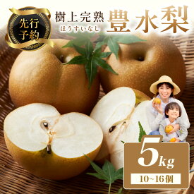 【ふるさと納税】残りわずか／樹上完熟 【先行予約】樹上完熟 豊水梨 5kg（10～16個）（2026年8月下旬～発送） 国産 10～16 個 玉 フルーツ 果物 なし 豊水 ふるさと 納税 梨 なし ナシ ふるさと 納税 先行予約 期間限定 ふるさと 納税 フルーツ ふるさと納税 豊水梨