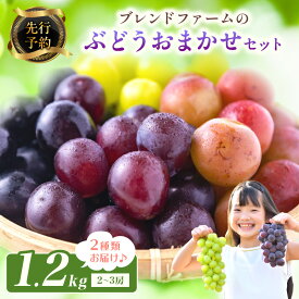 【ふるさと納税】【先行予約】ブレンドファームのぶどういろいろおまかせセット（2026年8月下旬～発送）