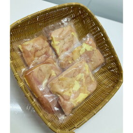 【ふるさと納税】京都府京丹後産　京地どり　ムネ肉1kg （200g×5パック）　一口サイズカット済み小分けパック