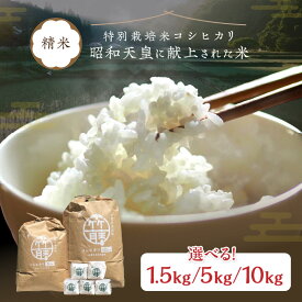 【ふるさと納税】R6年産【在庫なし】2合×5袋～／昭和天皇の大嘗祭に献上されたお米／令和6年産 特別栽培米コシヒカリ「京都久美浜 竹藤米」 5kg 10kg 1.5kg（2合×5袋） 選べる こしひかり 竹藤米 白米 おこめ おにぎり ふるさと納税 お米 ふるさと納税 コシヒカリ