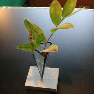 yӂ邳Ɣ[ŁzOpԊ ic6cm×6cm×12cmj ԕr KX XehOX H|i ӂ邳Ɣ[ ԕr Ԋ  ֑} ~jԊ rO _CjO H Q Vv _