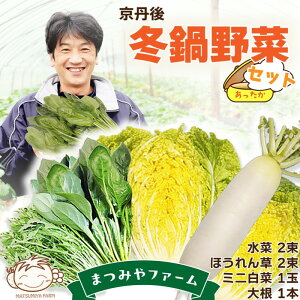 【ふるさと納税】【先行予約】京丹後冬鍋野菜セット(2025年11月上旬〜発送) 鍋セット 1〜2人前 野菜 やさい 京野菜 鍋 せっと 生産者応援 農家応援 送料無料