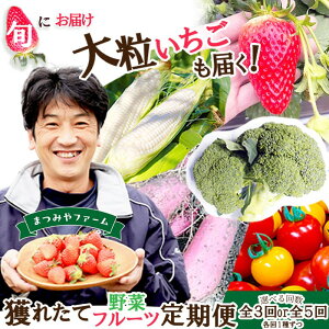 yӂ邳Ɣ[Łzyؒցz܂݂t@[lꂽĖ؁Et[c 3 5 Iׂ   ӂ邳Ɣ[ ʕ  t[c ӂ[  ₳   g͂