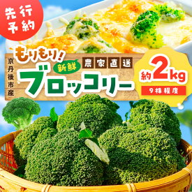 【ふるさと納税】＼農家直送 ブロッコリー／【先行予約】もりもり！ブロッコリー 約2kg（2026年11月上旬～発送）9株程度 冷蔵 農家直送 ぶろっこりー 野菜 京野菜 新鮮 生産者応援 農家応援 送料無料 ふるさと納税 ブロッコリー
