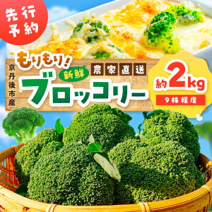 yӂ邳Ɣ[Łz_؍ ubR[^ys\zIubR[ 2kgi2025N11{`j 9x ① _ƒ Ԃ[   VN Y҉ _Ɖ