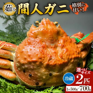 yӂ邳Ɣ[ŁzԐl`l̊ۗFNOځE̊ԐlKj䥂Ł 1C 500`600g×2C 1C 600`700g×2C