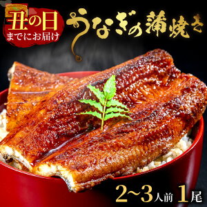 yӂ邳Ɣ[ŁzsO̖X͂邤Ȃ̊Ă2~3lO(1) V  ΂₫ ^V Y y s Mtg 蕨 YȂ YΏ ӂ ăoeh~ Ș 