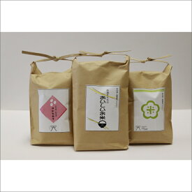 【ふるさと納税】真空・小分け／令和7年産 京丹後・野間産 田渕さんちのおいしいお米 個包装 2合×6袋入　米 こめ コメ ふるさと納税 こしひかり 米 ふるさと納税 コシヒカリ 米 小分け 個包装 農家応援 生産者応援 送料無料